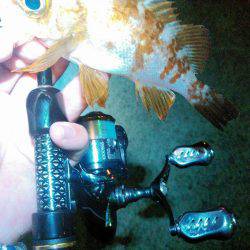 アンバーコード0.3号